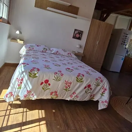 In Apartment La Orotava